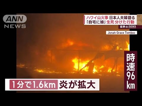 ハワイ山火事　日本人夫婦語る「自宅に娘」　生死分けた行動(2023年8月14日)