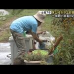 近畿地方　床上浸水など被害　住民らの片付け作業続く　台風7号影響(2023年8月16日)