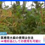 ドイツで嗜好品としての大麻合法化へ「増加する犯罪や闇取引を防ぐため」年内成立目指す｜TBS NEWS DIG