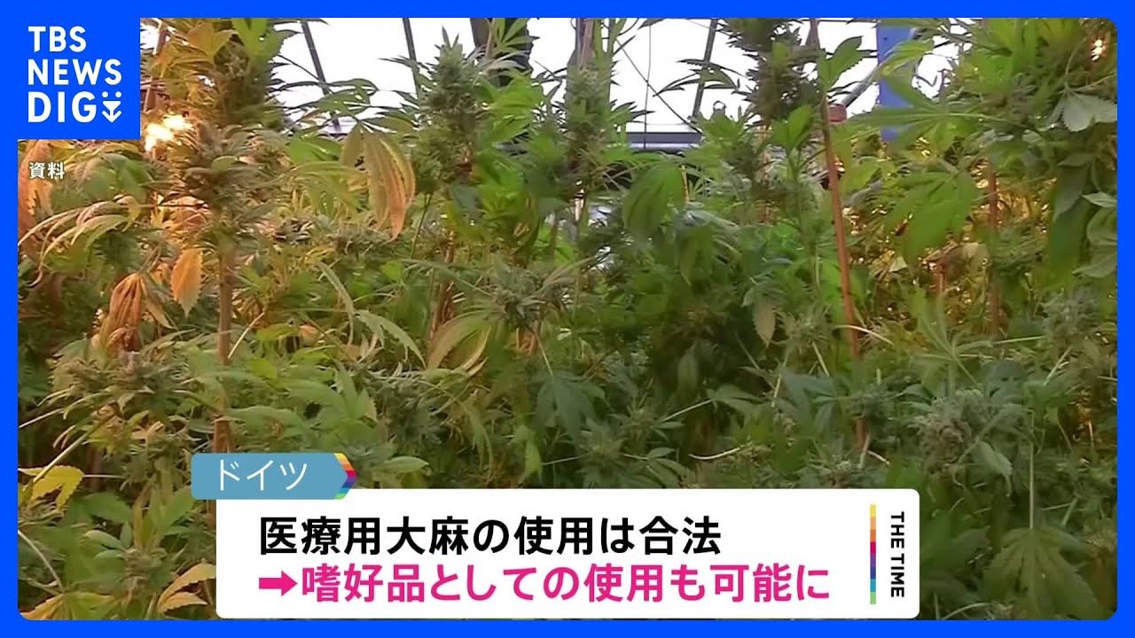 ドイツで嗜好品としての大麻合法化へ「増加する犯罪や闇取引を防ぐため」年内成立目指す|TBS NEWS DIG