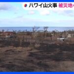 ハワイ・マウイ島山火事　被災地ラハイナに繋がる道が開通　JNNのカメラが焼け落ちた町の様子を捉える｜TBS NEWS DIG