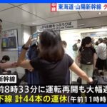東海道・山陽新幹線で遅れや運休　東京駅でも混乱続く　利用客「思ったよりも遅れている」今後も各駅で入場規制のおそれ｜TBS NEWS DIG