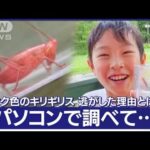 “幸運のキリギリス”少年が発見　捕まえたけど逃がした理由とは(2023年8月17日)