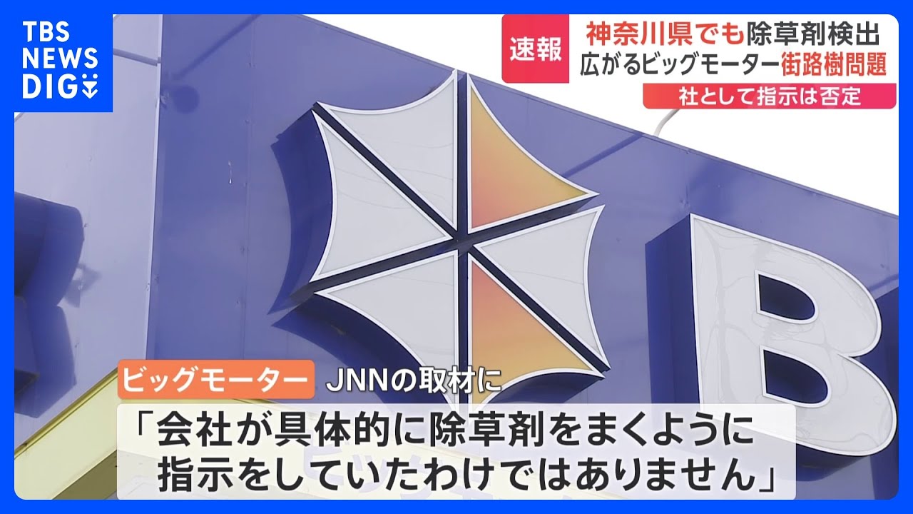 ビッグモーター街路樹問題 埼玉県警が器物損壊容疑で捜査開始 神奈川県も被害届提出の方向|TBS NEWS DIG