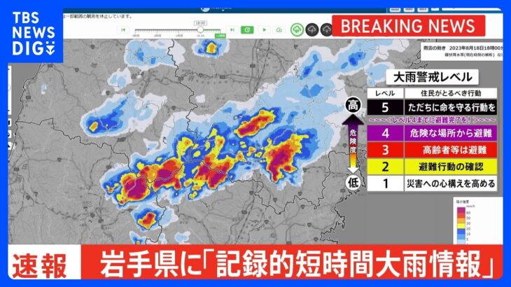 【速報】岩手県に「記録的短時間大雨情報」　一関市西部付近で約110ミリの猛烈な雨｜TBS NEWS DIG
