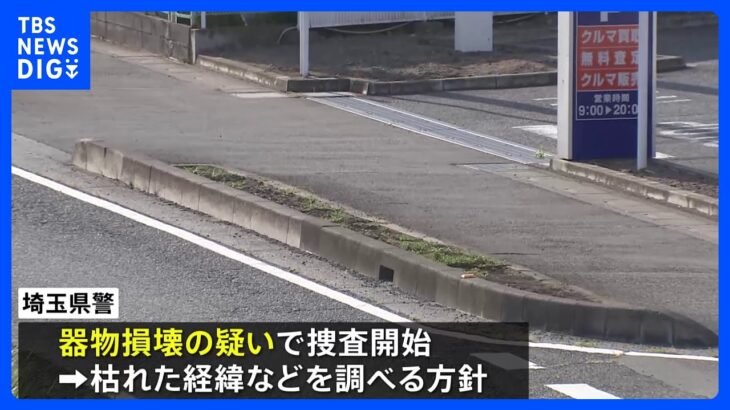 ビッグモーター街路樹問題　埼玉県警が器物損壊容疑で捜査開始　神奈川県も被害届出す方向で調整｜TBS NEWS DIG