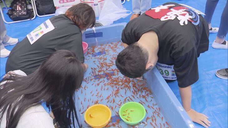 ”日本一”の金魚のまちで「金魚すくい選手権」