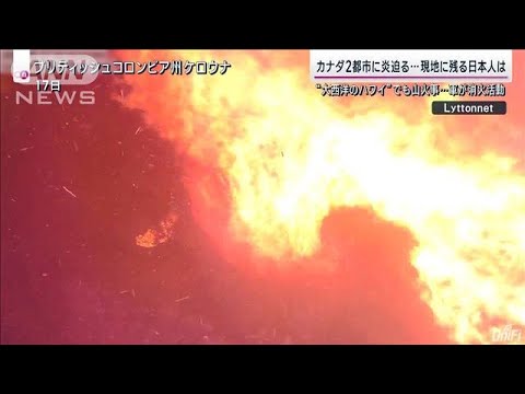 “大西洋のハワイ”も緊迫 衛星が捉えた同時多発する山火事「負のスパイラル」指摘も(2023年8月20日)