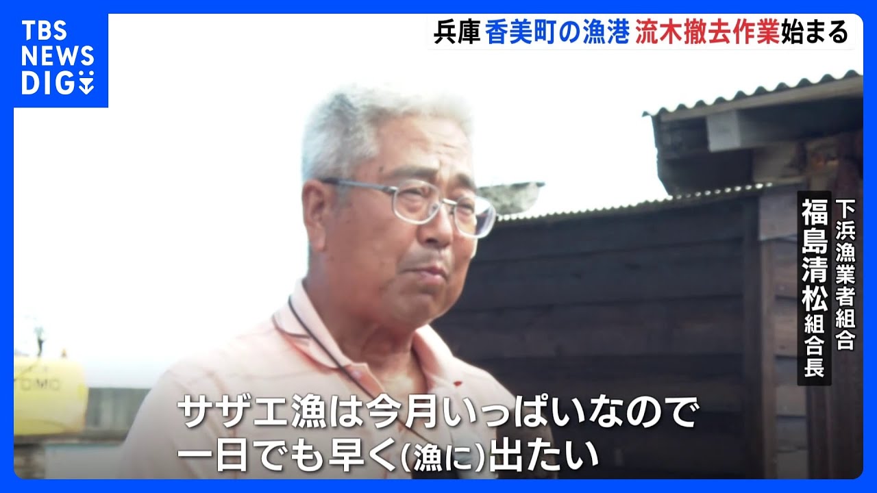台風被害の下浜漁港で流木の撤去始まる　兵庫・香美町｜TBS&nbsp;NEWS&nbsp;DIG