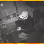 防カメに閉店後の暗い店内うろつく姿　京都・祇園の高級クラブ金庫窃盗事件　２４歳の男を逮捕