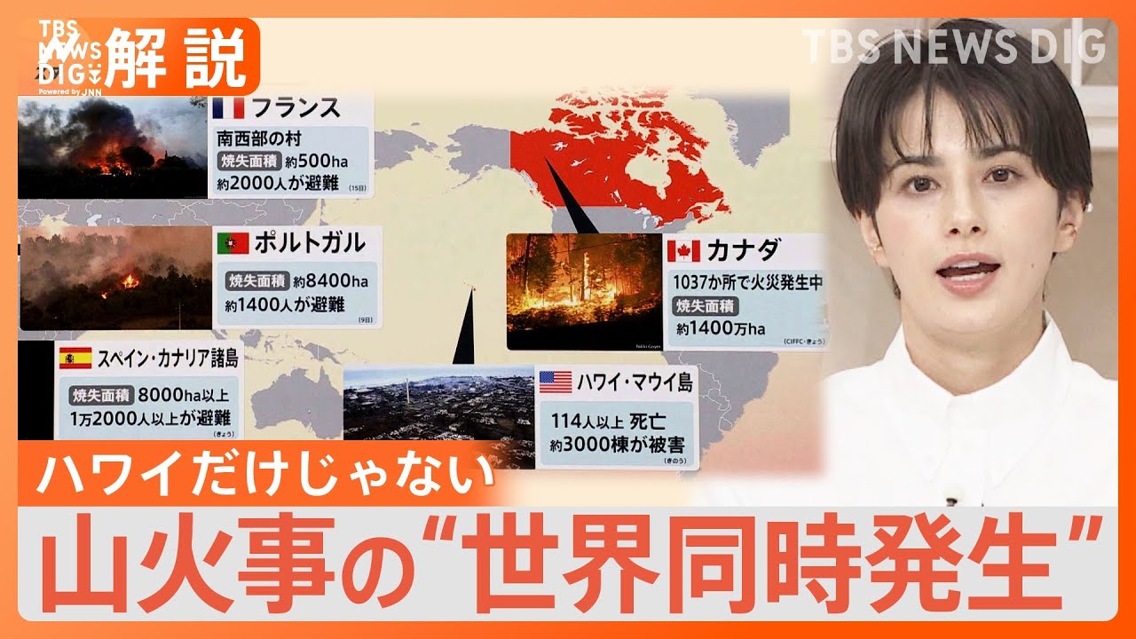 ハワイ・マウイ島だけじゃない　山火事の“世界同時発生”　背景に“気候変動”か【Nスタ解説】｜TBS&nbsp;NEWS&nbsp;DIG