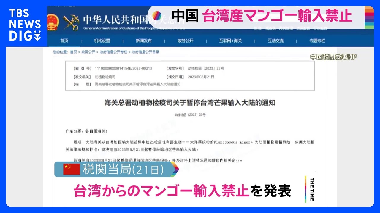 中国が台湾マンゴー輸入禁止　副総統のアメリカ立ち寄りに対抗か｜TBS&nbsp;NEWS&nbsp;DIG