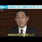 岸田総理　与党に物価高対策の取りまとめを指示　ガソリン価格緩和策延長へ(2023年8月22日)