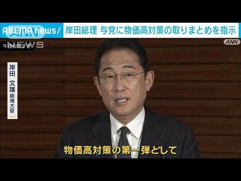 岸田総理　与党に物価高対策の取りまとめを指示　ガソリン価格緩和策延長へ(2023年8月22日)