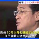 岸田総理、ガソリン高騰対策を与党に指示　ガソリン補助10月以降も継続させる方向で検討｜TBS NEWS DIG