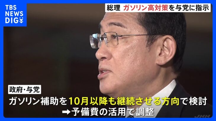 岸田総理、ガソリン高騰対策を与党に指示　ガソリン補助10月以降も継続させる方向で検討｜TBS NEWS DIG