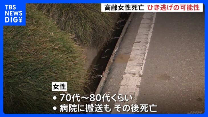 高齢女性が町道で死亡 ひき逃げか 関与疑いの人物に警察が話聴く　茨城県・境町｜TBS NEWS DIG