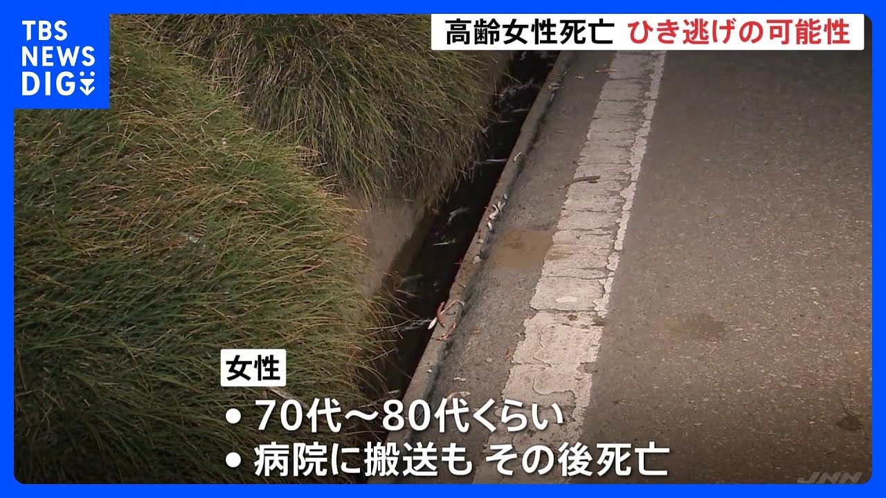 高齢女性が町道で死亡&nbsp;ひき逃げか&nbsp;関与疑いの人物に警察が話聴く　茨城県・境町｜TBS&nbsp;NEWS&nbsp;DIG