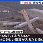 「きれいにしておかないと厳しい指導入るため」ビッグモーターが茨城県内店舗で散布認め謝罪｜TBS NEWS DIG