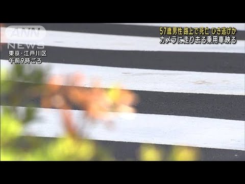 カメラに走り去る車　ひき逃げ事件か　東京・江戸川区で57歳男性死亡(2023年8月24日)