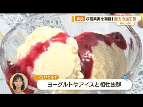 北関東“トロピカルフルーツ収穫＆試食”で驚き…“果実濃縮”加工品も【あらいーな】(2023年8月24日)