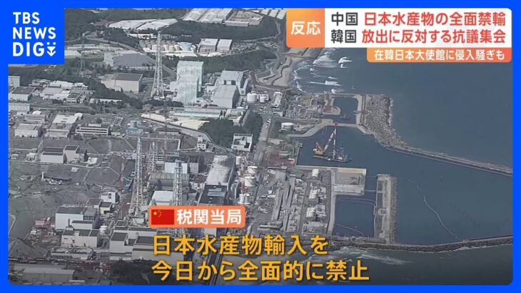 中国 日本の水産物の輸入を全面禁止　「強烈な非難を表明する」中国外務省｜TBS NEWS DIG