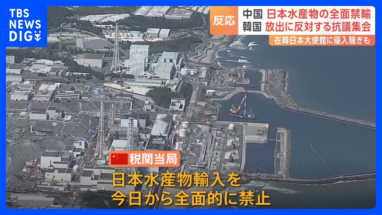 中国&nbsp;日本の水産物の輸入を全面禁止　「強烈な非難を表明する」中国外務省｜TBS&nbsp;NEWS&nbsp;DIG