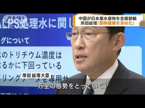 中国が日本産水産物を全面禁輸　岸田総理撤廃求める(2023年8月25日)