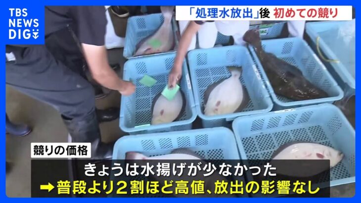 処理水放出後初めての競り　価格に影響なし　国・東京電力に情報の透明性求める声も　福島｜TBS NEWS DIG