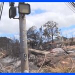 ハワイ山火事　マウイ郡も電力会社を提訴　切れた送電線が草木に引火したと主張｜TBS NEWS DIG