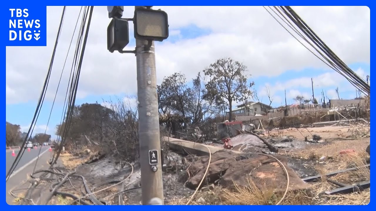 ハワイ山火事　マウイ郡も電力会社を提訴　切れた送電線が草木に引火したと主張｜TBS&nbsp;NEWS&nbsp;DIG