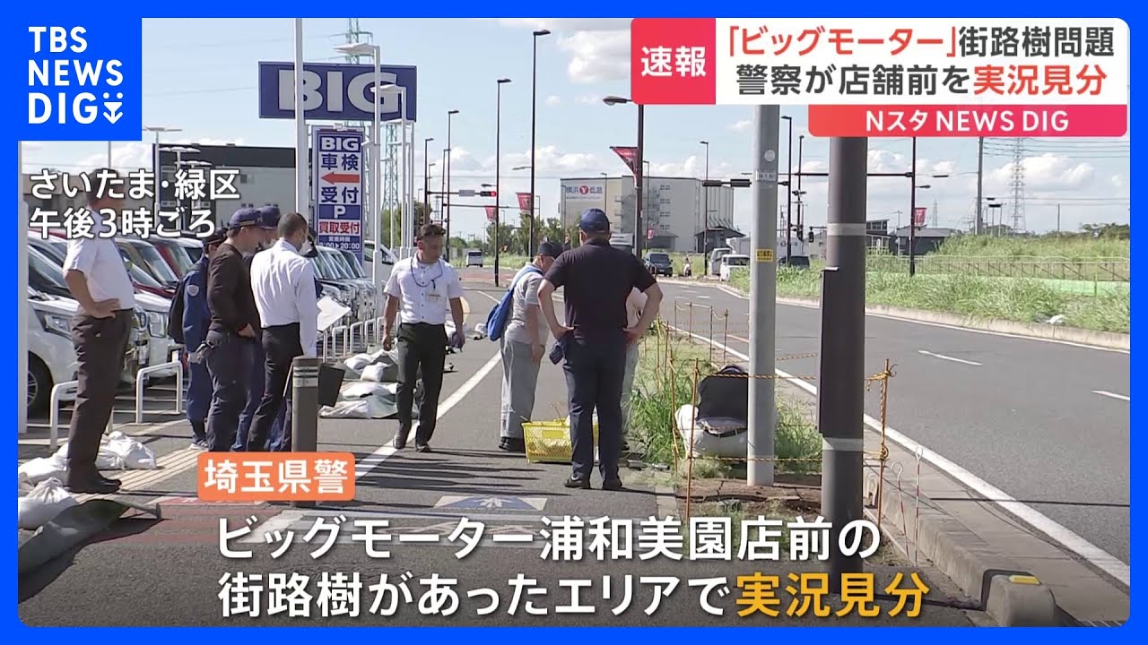 【速報】ビッグモーター街路樹問題　埼玉県警が浦和美園店前の街路樹を実況見分　器物損壊の疑いで捜査進める｜TBS&nbsp;NEWS&nbsp;DIG