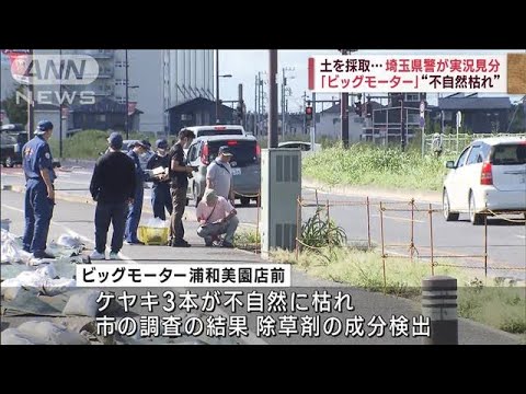 ビッグモーター“不自然枯れ”土を採取…　埼玉県警が実況見分(2023年8月25日)