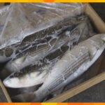 中国が日本産水産物“輸入禁止”　関西の漁業関係者も不安と困惑　吉村知事「中国以外の輸出先を」