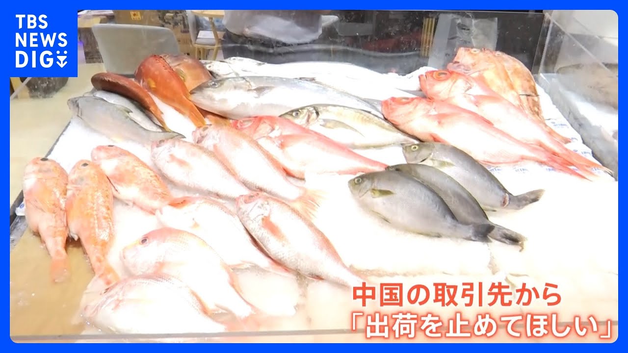 「出荷をとめてほしい」&nbsp;処理水海洋放出…スイーツや調味料まで影響広がる｜TBS&nbsp;NEWS&nbsp;DIG