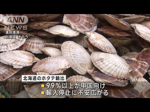 処理水放出　中国が禁輸　ホタテ漁師から不安の声(2023年8月26日)
