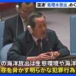 北朝鮮が処理水放出を国連で非難　日本は反論「科学的な根拠欠く主張は一切受け入れない」｜TBS NEWS DIG