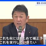 自民・茂木幹事長「秋に経済対策まとめ補正予算を実行」　電気、ガス補助金は来月から順次終了受け｜TBS NEWS DIG