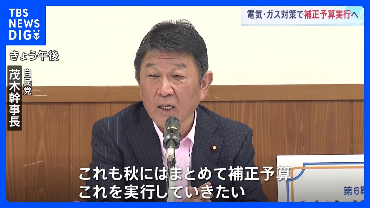 自民・茂木幹事長「秋に経済対策まとめ補正予算を実行」　電気、ガス補助金は来月から順次終了受け｜TBS&nbsp;NEWS&nbsp;DIG