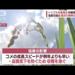 トリプル台風発生　沖縄接近恐れ　離れていても強風や高波に注意(2023年8月28日)