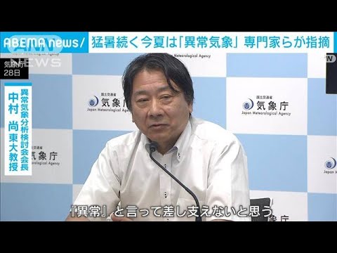 記録的猛暑日続く今年の夏は「異常気象」　専門家が指摘(2023年8月28日)