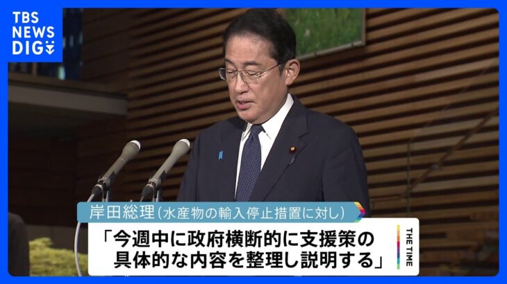 岸田総理　今週中に水産事業者への支援策発表へ　中国の輸入停止措置うけ｜TBS NEWS DIG