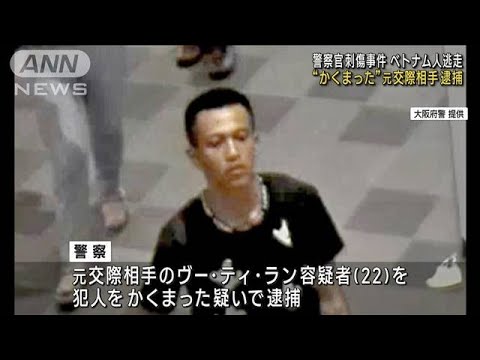 警察官刺傷事件　容疑者を“かくまった”疑い　元交際相手の女逮捕 大阪(2023年8月29日)