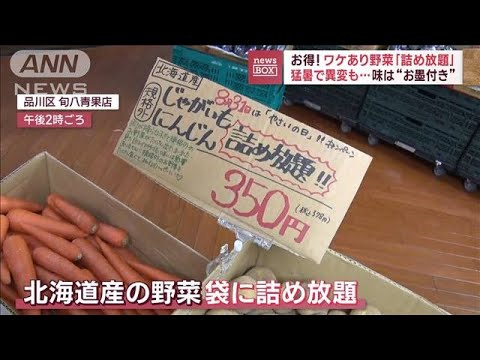 ワケあり野菜「詰め放題」　猛暑で異変も…味は“お墨付き”(2023年8月30日)