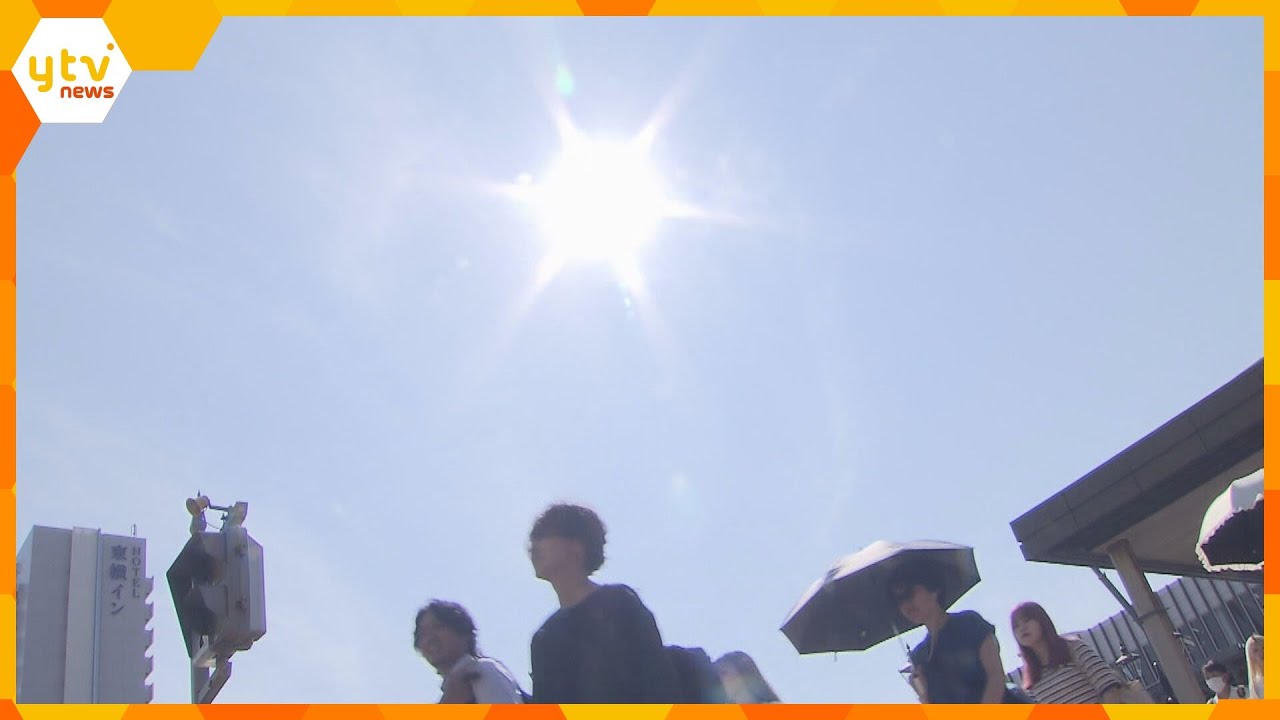 暦の上では秋なのに…暑さ続く日本列島　牧場では搾乳量減少、牛は熱中症に　野菜価格は高騰で家計直撃
