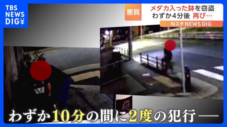 「まさか盗られるとは」防犯カメラに写っていたのは“メダカの鉢”を盗む人物　堂々とした犯行に被害者は｜TBS NEWS DIG