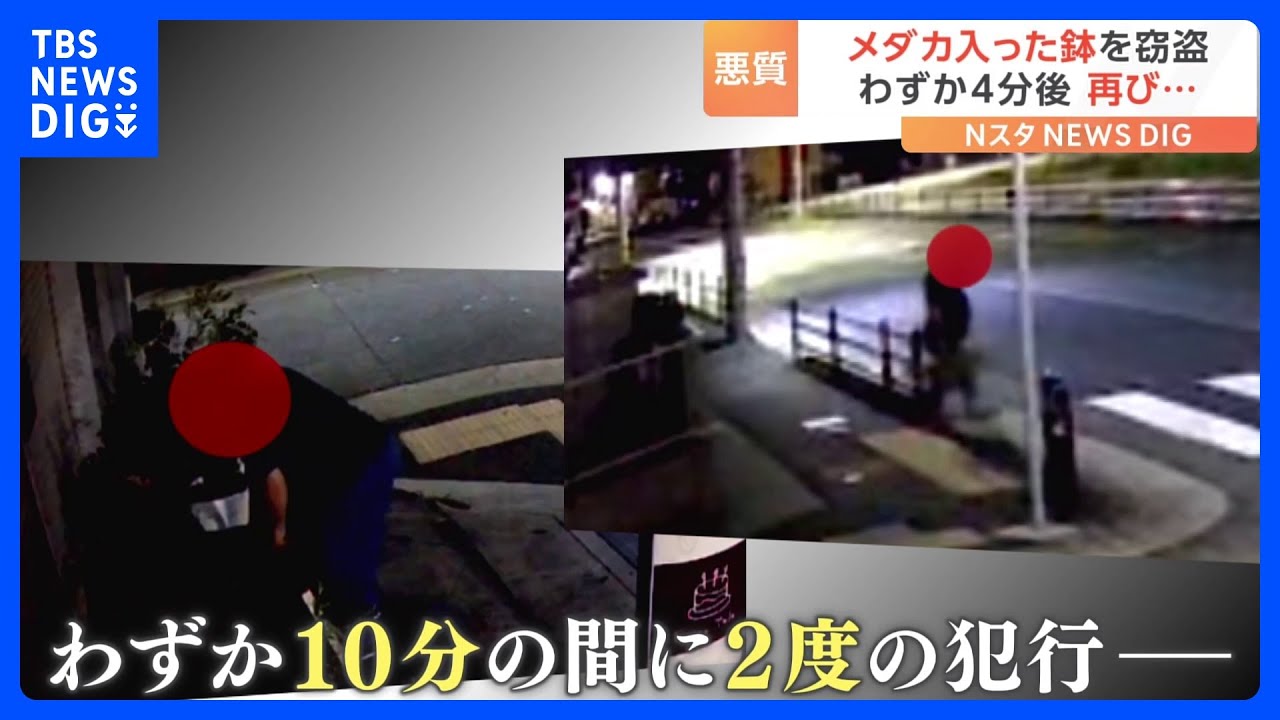 「まさか盗られるとは」防犯カメラに写っていたのは“メダカの鉢”を盗む人物　堂々とした犯行に被害者は｜TBS&nbsp;NEWS&nbsp;DIG