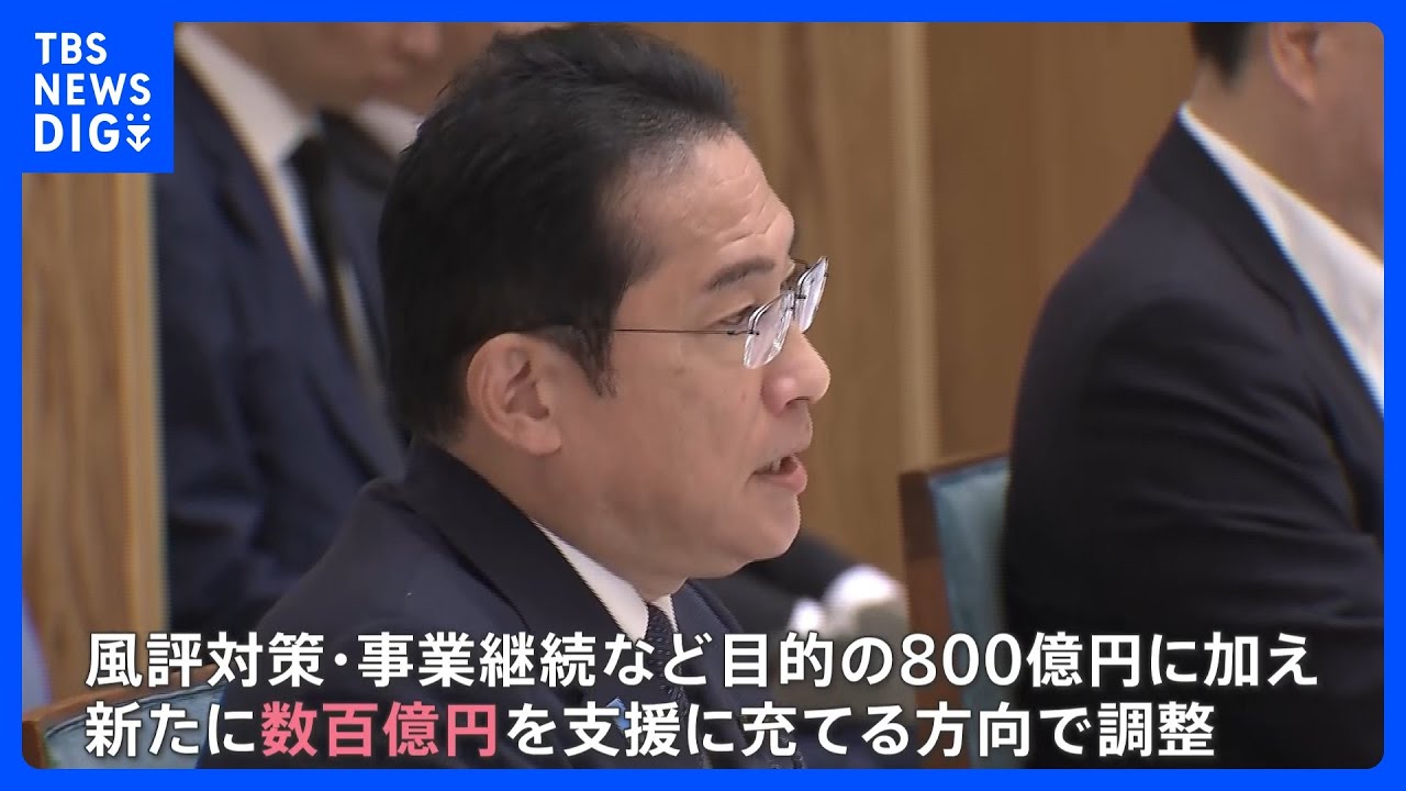 中国が日本の水産物&nbsp;輸入全面停止で政府が漁業者支援　“新たに数百億円”で調整　あすにも岸田総理が表明へ｜TBS&nbsp;NEWS&nbsp;DIG