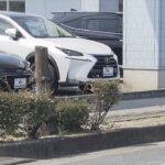 ビッグモーターの街路樹問題　兵庫県が警察に被害届提出へ　県内３店舗でなくなったり枯れる被害