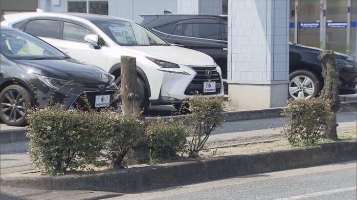 ビッグモーターの街路樹問題　兵庫県が警察に被害届提出へ　県内３店舗でなくなったり枯れる被害